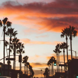 Meet your Posher, Abigail